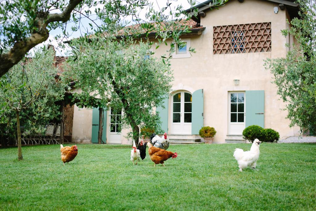 卡麦奥雷Agriturismo Mareli别墅 外观 照片